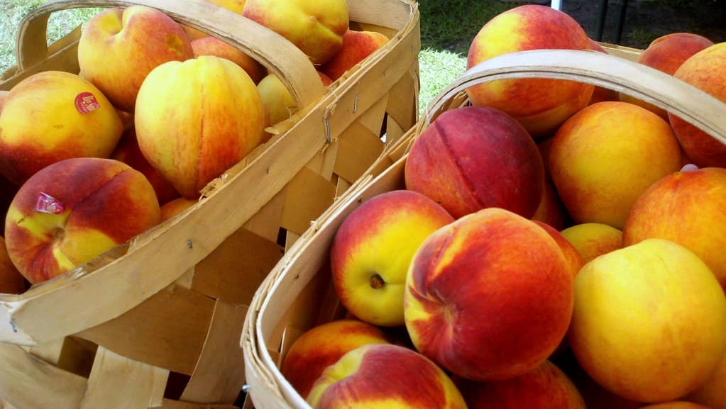 Confiture d’abricots du verger